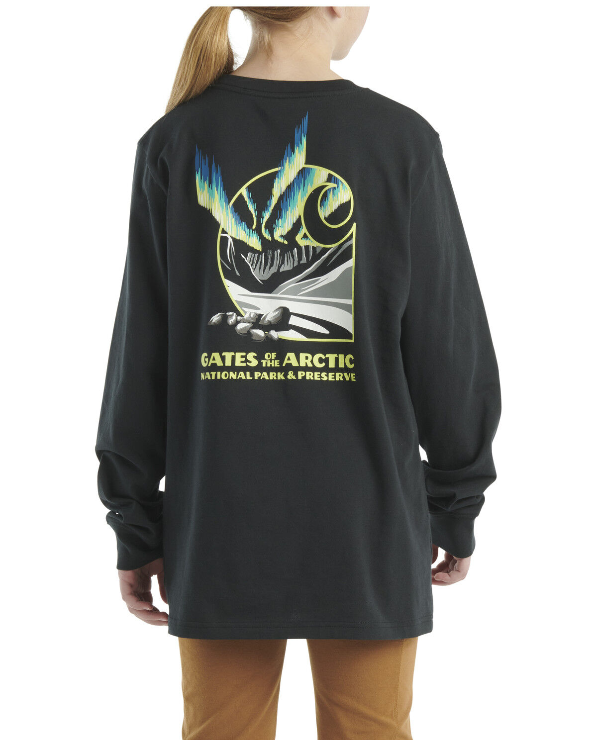 Image #1 - Carhartt Boys' Artic Long Sleeve Graphic Shirt, Blue, hi-res