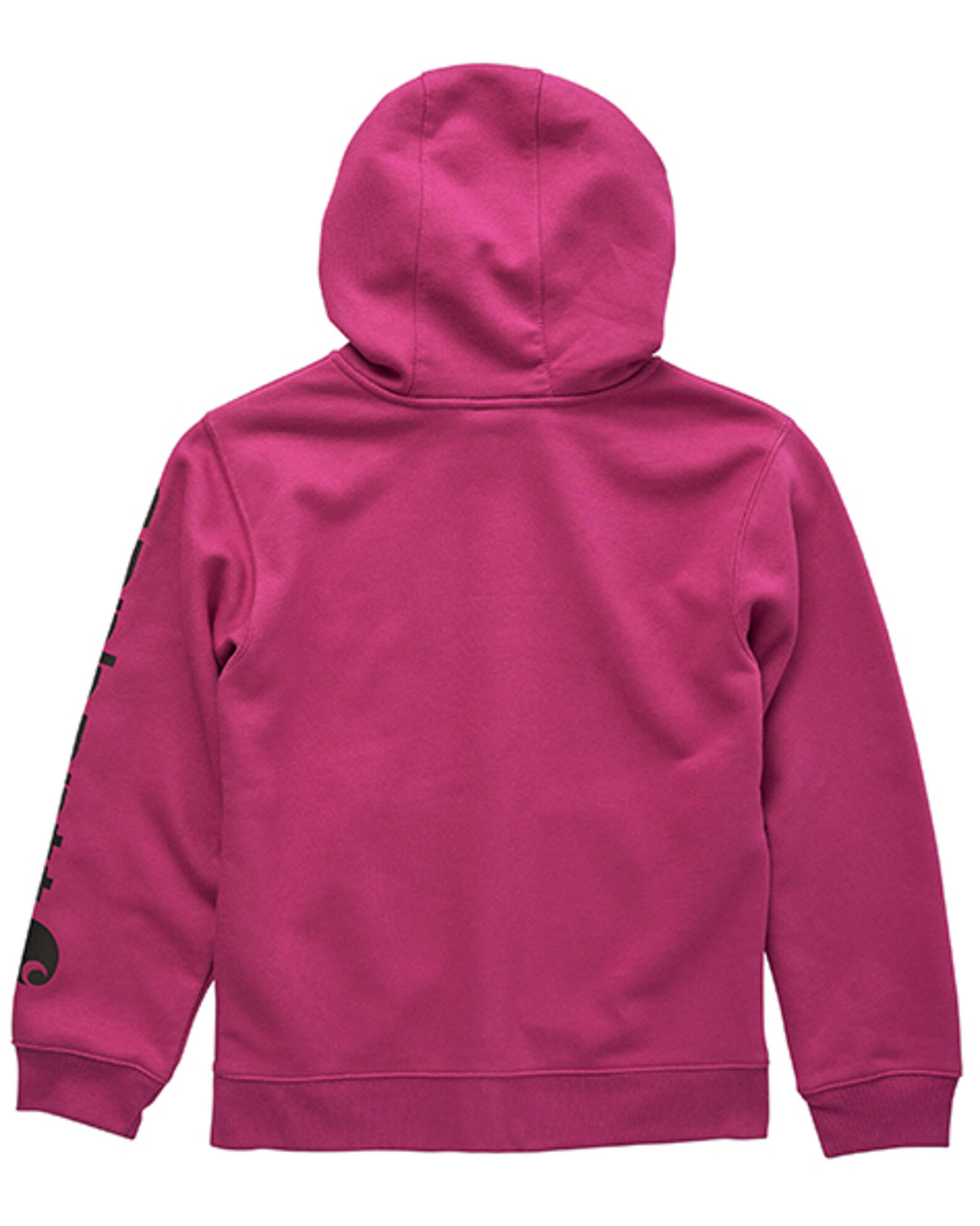 Carhartt Little Girls Logo Sleeve Graphic Zip Sweatshirt Jacket Country Outfitter