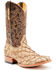 Image #1 - Cody James Men's Exotic Pirarucu Western Boots - Broad Square Toe , Tan, hi-res