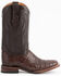 Ferrini Men's Caiman Belly Western Boots - Broad Square Toe, Chocolate, hi-res