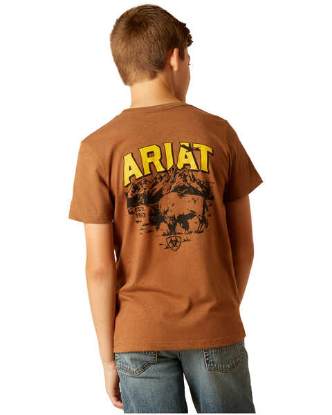 Ariat Boys' Bison Short Sleeve Graphic Print T-Shirt , Brown, hi-res