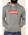 Levi's Men's Steel Grey Batwing Logo Graphic Hooded Sweatshirt , Grey, hi-res