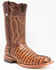 Tanner Mark Men's Caiman Tail Print Western Boots - Broad Square Toe, Cognac, hi-res