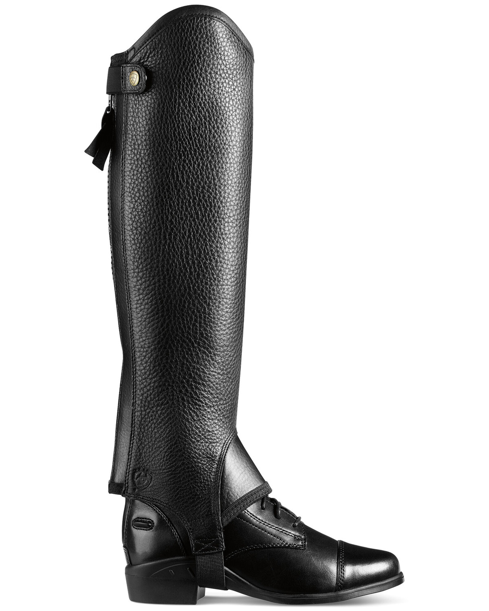 Ariat westchester boots store