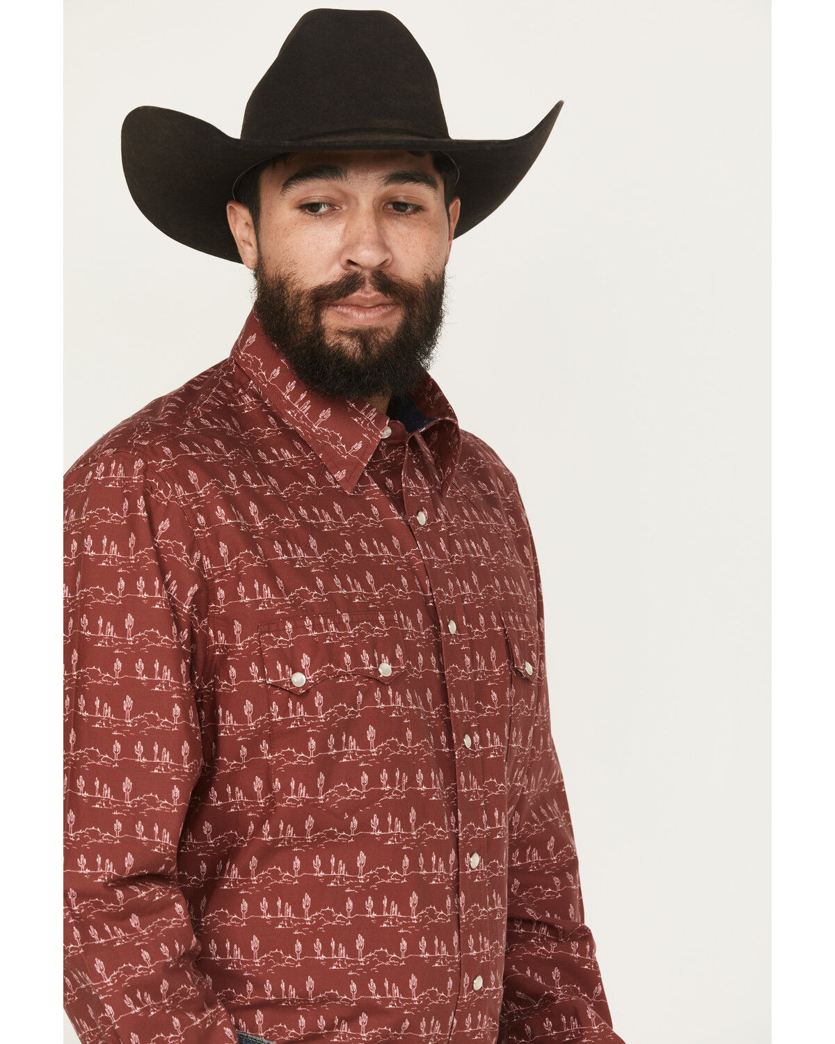 Image #2 - Roper Men's West Made Desert Print Long Sleeve Pearl Snap Western Shirt, Red, hi-res