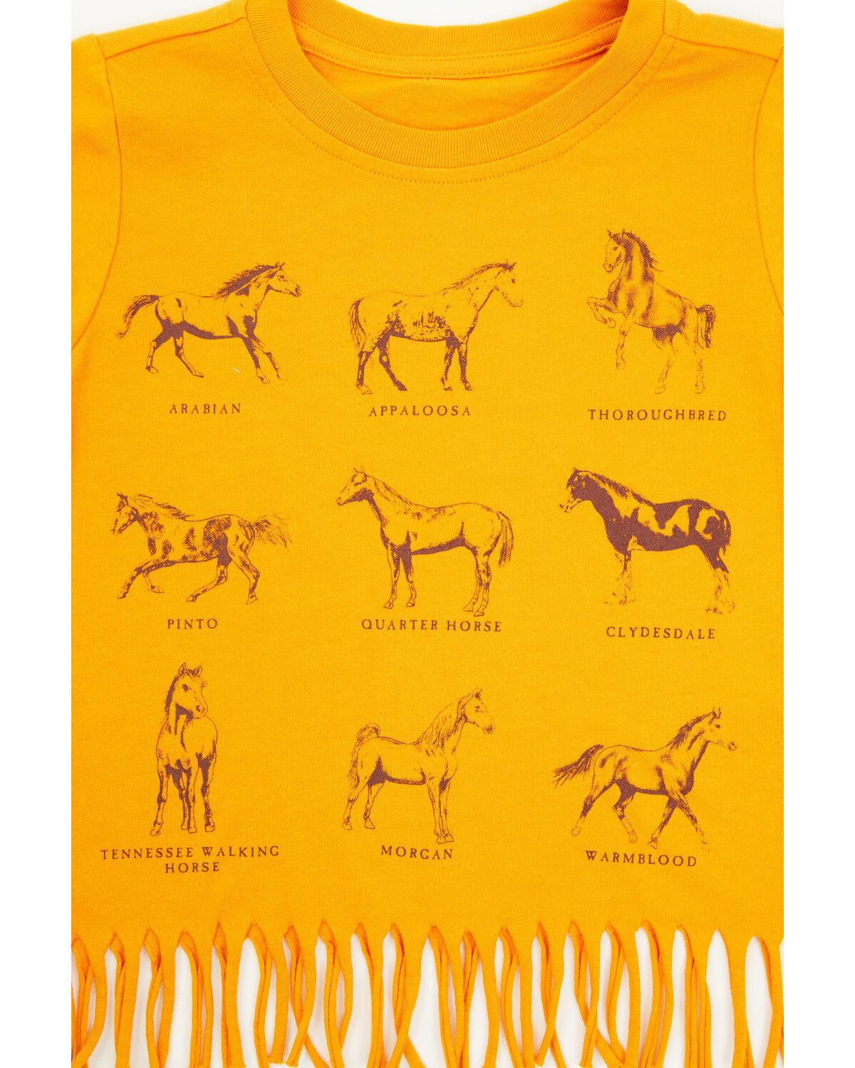 Image #2 - Shyanne Toddler Girls' Horse Breeds Fringe Short Sleeve Graphic Tee, Gold, hi-res
