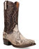 Image #1 - Dan Post Men's Exotic Python Western Boots - Square Toe, Natural, hi-res